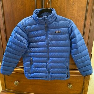Patagonia Nano Puff Jacket in cobalt blue